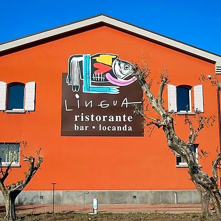 Lingua Rimini